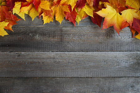 十月来了木制背景上的秋叶架边缘红色空白树叶边界木头棕色黄色框架木板背景
