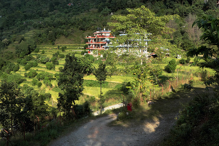 波克拉郊外塞迪巴加尔的绿色山旅馆图片