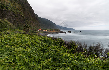 在马西拉岛的葡萄园里种植园山坡爬坡倾斜绿色背景图片