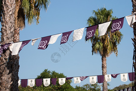 紫色旗帜中世纪在节日的旗帜蓝色历史城市娱乐公园历史性吸引力紫色游客棕榈背景