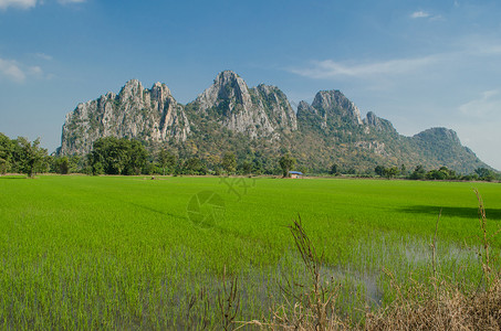 石灰岩山绿色的旅行高清图片