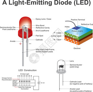 LED二极管LED(LED)结构 教育信息图插画