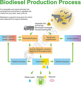 甲醇燃料素材生物柴油生产工艺插画