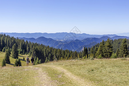 潘波罗沃保加利亚 RHODOPE 山顶夏天天空蓝色游客旅游小路绿色登山登山者乡村生活背景