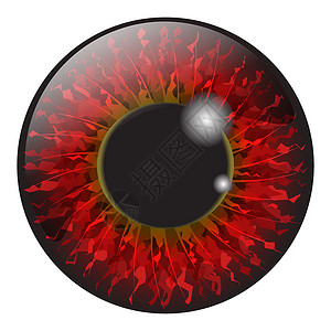 红色鸢尾花红色iris眼睛符合实际的矢量集设计 在白柱上隔离眼球瞳孔白色蓝色宏观鸢尾花反射艺术视网膜灰色插画
