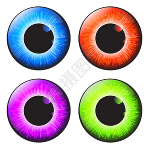 绿色瞳孔在白色 backgr 上隔离的虹膜眼逼真矢量集设计棕色艺术圆形球体眼球宏观视网膜眼睛反射瞳孔设计图片