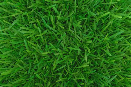 绿草 背景纹理花园地毯草地娱乐游戏生长棒球渲染植物院子背景图片