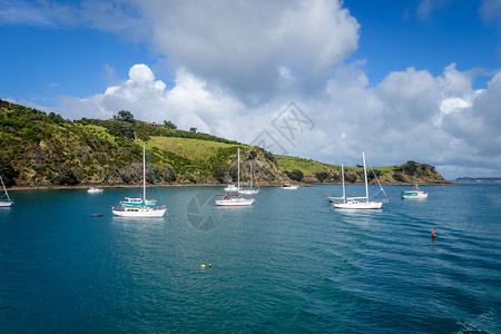 奥克兰岛新西兰奥克兰附近的Waiheke岛帆船背景