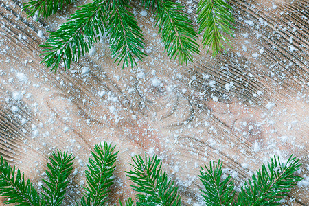 圣诞绿树 冬季雪花上的绿色树枝木背景图片