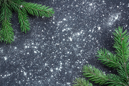 冬季雪花上绿色圣诞树枝 黑色面积b背景图片