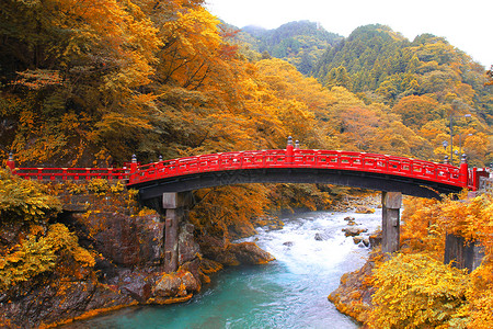 秋季新京大桥 日本日子红色山脉吸引力乡村旅行溪流日光历史性地标风景背景图片