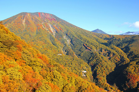 秋季山的多姿多彩 日本尼科背景图片