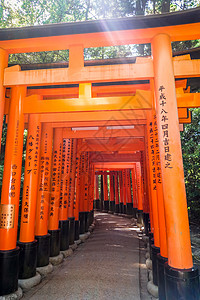 日本京都宗教旅游汉子历史建筑学神道寺庙旅行森林神社高清图片