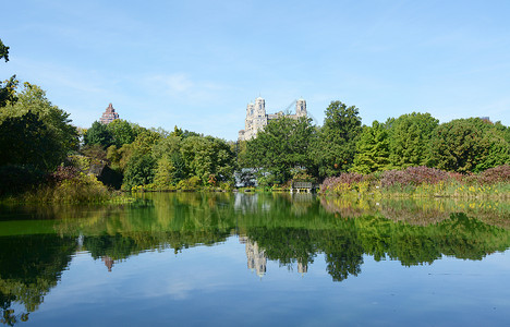 中央公园龟池中央公园海龟池 周围有树木和灌木植物背景