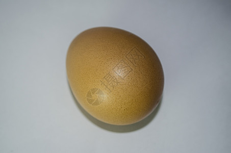鸡蛋健康食物生物背景图片