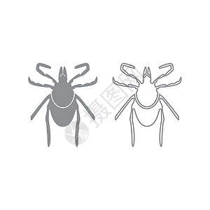 昆虫学家选中图标 灰色套件插画