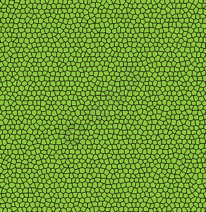 绿色叶子纹理马赛克静脉表面矢量背景生物学墙纸纤维细胞纺织品插图窗饰装饰品网格织物插画