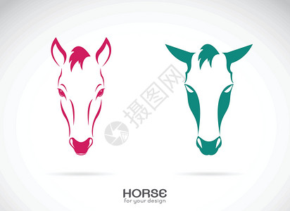 马头标识白色背景的马头设计矢量 马路标 W草图自由骑术标识艺术蓝色农场荒野赛马插图插画