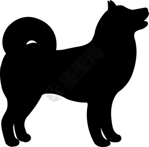萌宠查理王犬形象展示黑色狗插画