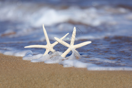 海泡沫海浪的沙中海星背景图片