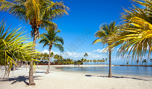 莫比斯环美国佛罗里达州迈阿密环滩假期自然公园公园旅行沙滩海滩中心梦幻梦想游乐园背景