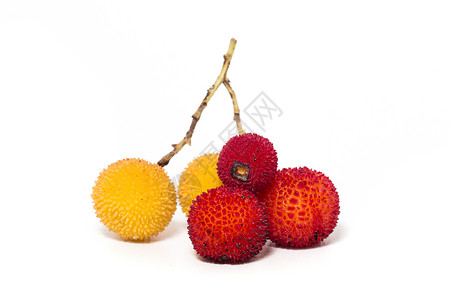 草莓树阿布托果黄色宏观红色白色工作室杨梅水果背景图片