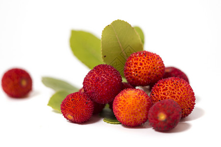 草莓树阿布托果宏观叶子树叶红色杨梅黄色工作室水果白色背景图片