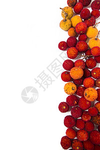 草莓树阿布托果红色黄色白色杨梅宏观水果工作室背景图片