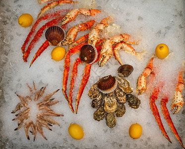 螃蟹与贝壳海产食品在鱼市的冰面上美食海鲜贝类团体贝壳龙虾蛤蜊盘子壳类动物背景