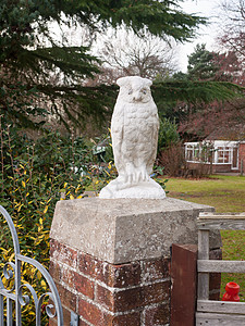 猫头鹰造型特写白色猫头鹰雕像装饰前车道背景