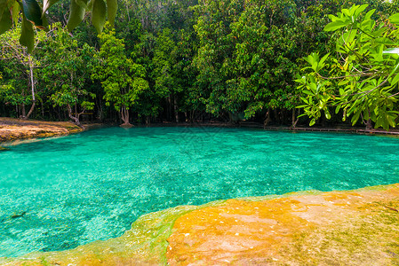 emerald游泳池位于泰国Krabi丛林中高清图片