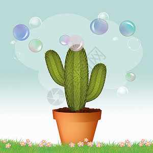 仙人掌植物肥皂泡沫背景图片