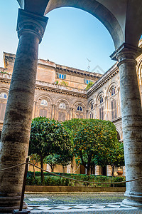 罗马宫内有橙树背景图片