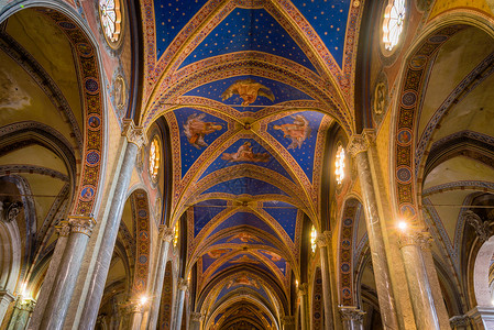 圣伊格纳齐奥教堂涂漆的天花板旅行教会圆顶画家大教堂转折点宗教建筑学艺术建筑背景图片