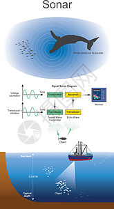 鱼趣图声纳系统导航和测距设计图片