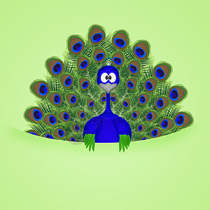 孔雀尾巴动物蓝色绿色插图卡通片羽毛背景图片