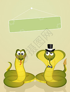 蛇的婚礼皮肤爬虫摇铃脊椎动物庆典夫妻动物眼镜蛇明信片插图背景图片
