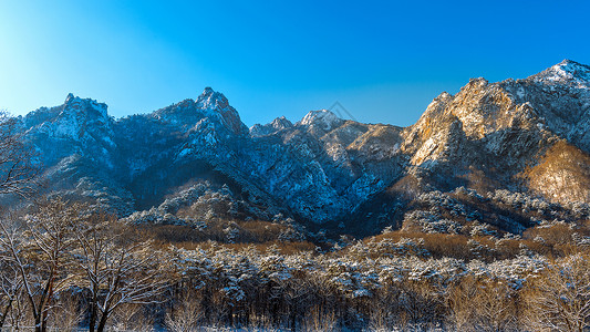 江原道雪道南韩冬季的Seoraksan国家公园束草天气海雾滑雪山脉天空森林国家旅游旅行背景