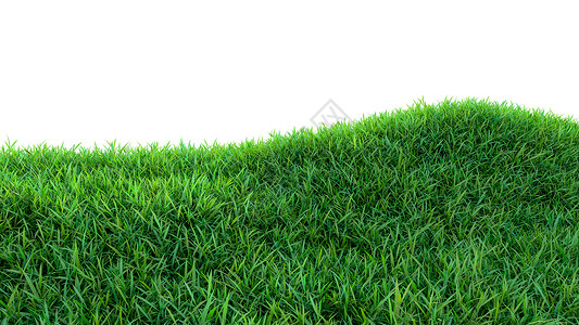 草地背景清新的绿色田野隔离游戏框架场地环境叶子墙纸草皮土地运动3d背景图片