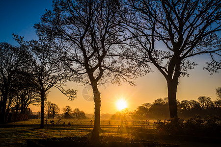 桑提西米桑德韦尔山谷国家公园太阳太阳之星薄雾场地天空公共公园金子树木背景