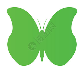 蝴蝶图标标识鳞翅目昆虫插图艺术翅膀船长背景图片