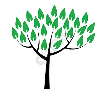 树图标网络插图艺术松树收藏木头橡木黑色白色背景图片