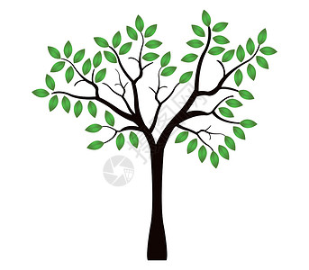 树图标网络木头艺术插图白色黑色松树收藏橡木背景图片