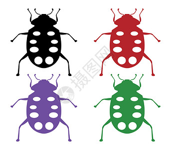 瓢虫图标昆虫甲虫插图红色背景图片