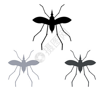 矮寨蚊子图标感染标识风险疾病昆虫药品疟疾插图插画
