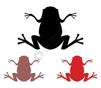 青蛙图标森林热带团体动物学插图野生动物蹼状荒野动物绿色背景图片