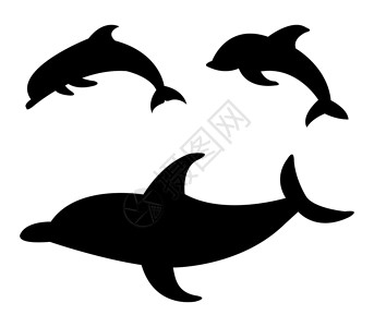 海豚图标荒野白色海洋哺乳动物艺术野生动物生活动物游泳卡通片设计图片