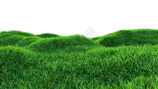 草地背景清新的绿色田野隔离墙纸3d草皮运动游戏框架生长植物公园院子背景图片