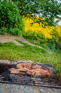 森林中的BBQ森林花园日落木头猪肉食物叶子野餐肋骨背景图片