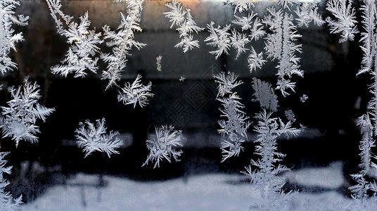 神圣之霜玻璃上的霜纹白色结晶几何宏观雪花水晶气候季节窗户冻结背景